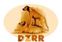 Mitglied im DZRR - VDH